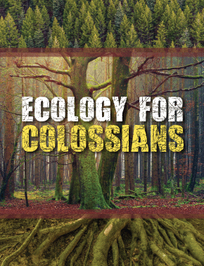 Ecology for Colossians