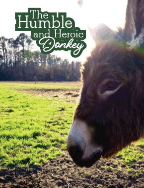 The Humble and Heroic Donkey