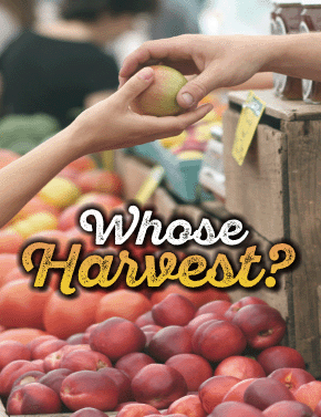 Whose Harvest?