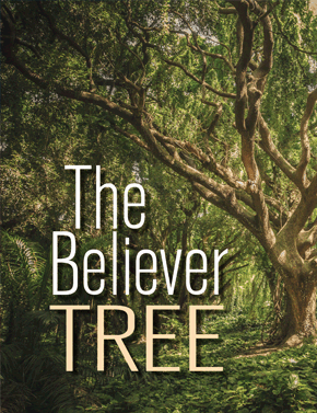 The Believer Tree